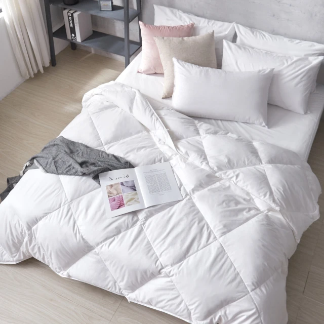 Tonia Nicole 東妮寢飾 法國尊爵90D羽絨夏被(