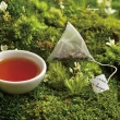 【Zenique 小茶栽堂】自然栽培 袋茶補充包 黃梔烏龍茶(3g/25包入/袋)