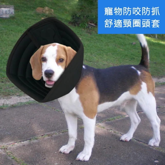 【愛寵達人】外銷歐美柔軟舒適防舔 防咬貓狗伊莉莎白寵物頭套 貓狗圍脖頸圈(M號 毛小孩必備)