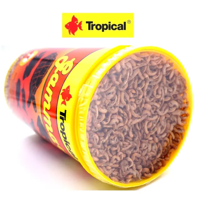 【Tropical 德比克】波蘭Tropical德比克高蛋白乾蝦飼料+高蛋白烏龜成長主食飼料1L×2罐(適合烏龜、水龜)