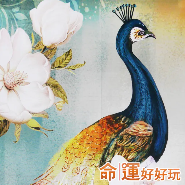 【命運好好玩】李玉珮-富貴迎門吉祥雀布簾