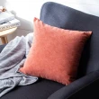 【hoi! 好好生活】Hoi!台灣製質感沙發布抱枕套45x45cm-珊瑚紅(多款顏色可選)