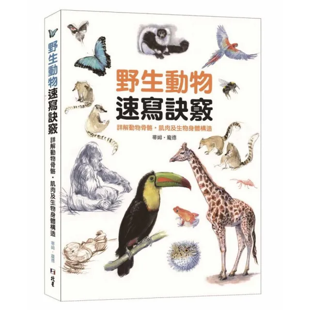 野生動物速寫訣竅：詳解動物骨骼、肌肉及生物身體構造 | 拾書所