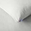 【HOLA】SNOW TOUCH 涼感床包枕套組單人-銀河灰(單人)