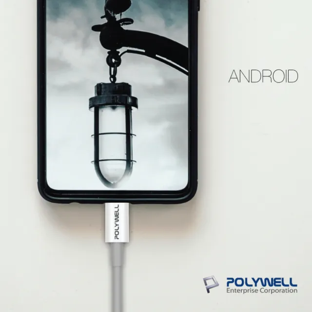 【POLYWELL】Type-C To Type-C 3A USB PD快充傳輸線 1M(支援最新安卓 Android 手機 15W/45W 快充)