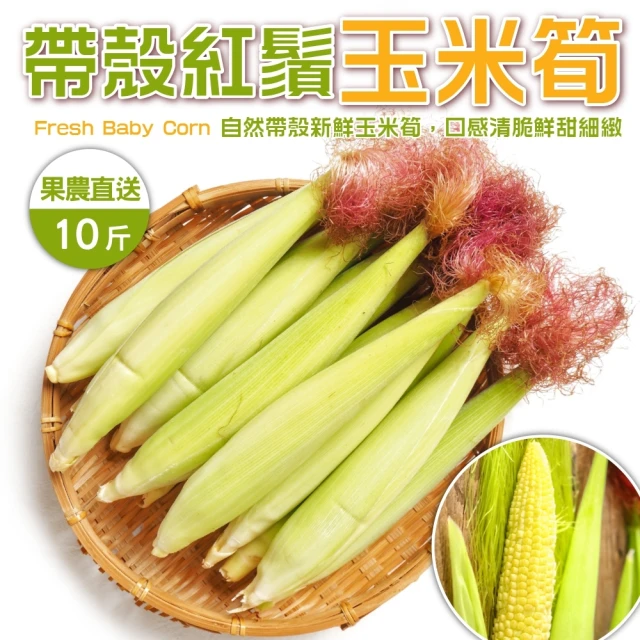 【WANG 蔬果】紅鬚玉米筍10斤x1箱(農民直配)