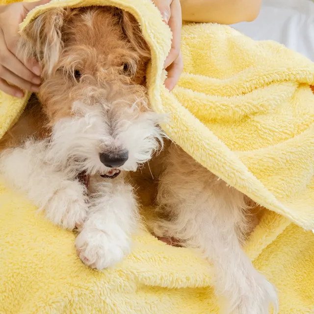 【URBANER 奧本】吸水速乾寵物沐浴毛巾CT-40(吸水毛巾/寵物毛巾/吸水巾)