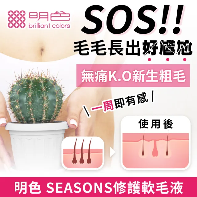 【MEISHOKU 明色】SEASONS修護軟毛液 200ml(超值3入組)