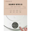 【REGULIS】日本空氣循環扇_GN-P30（白）基本款-不含加濕器濕循環扇(10吋可定時遙控伸縮收納加濕循環扇)