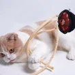 【PurLab 噗扑實驗室】美食系列逗貓棒 三款可選(中西美味誘惑 一秒點燃貓咪魂 貓玩具 寵物玩具 貓薄荷)
