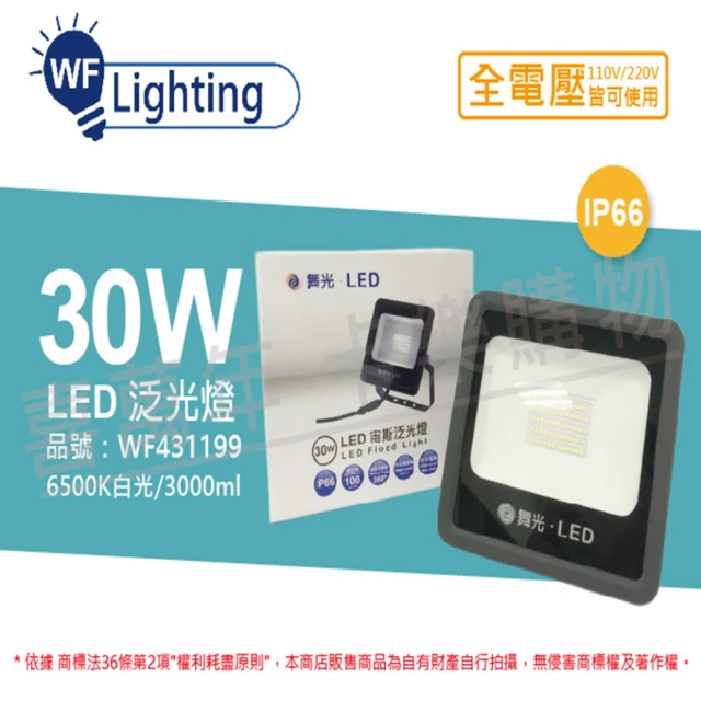 【DanceLight 舞光】LED 30W 6500K 白光 140度 IP66 全電壓 宙斯 泛光燈 投光燈 _ WF431199