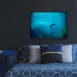 【菠蘿選畫所】海洋世界－海龜-30x40cm(海龜/客廳佈置/家居佈置/臥室背景/海洋掛畫/複製畫)