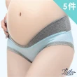【Dylce 黛歐絲】5件組-現貨-V型低腰孕婦抑菌無痕內褲/女內褲(顏色隨機)