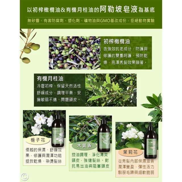 【法國NAJEL阿勒坡】古皂液頭皮洗髮精300ml4入(加碼贈市價$1960多功能智能電熱整髮器)