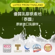 【LooCa】2.5cm泰國乳膠床墊-搭贈吸濕排汗布套(單大3.5尺)