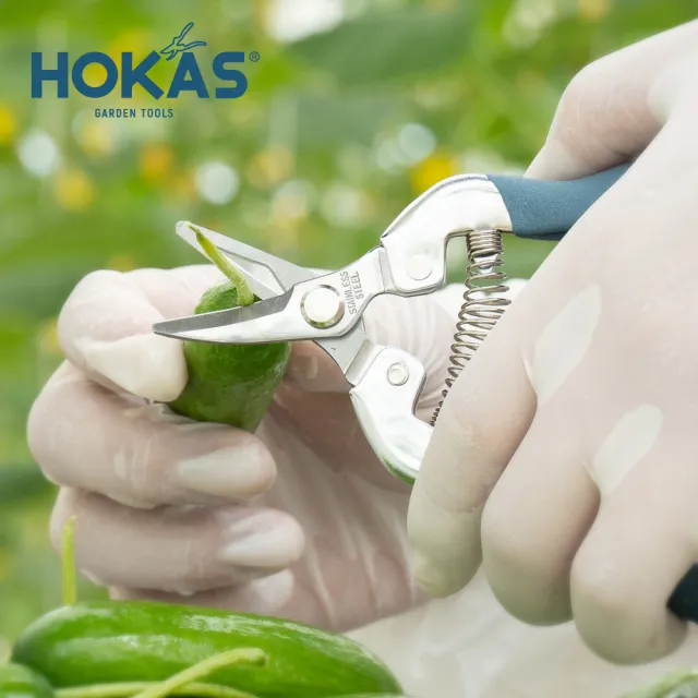 【HOKAS】短曲刃芽切剪 台灣製(適用觀葉植物 園藝盆栽 摘果 切花 S517)