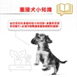 【ROYAL 法國皇家】臘腸成犬專用飼料 DSA 1.5KG(狗乾糧 狗飼料)