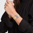 【SWATCH】Gent 原創系列手錶CLEARLY YELLOW STRIPED 瑞士錶 錶(34mm)