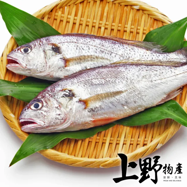 【上野物產】16隻 野生白口魚(135g±10%/隻 海鮮)