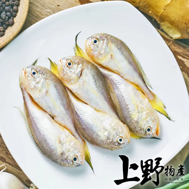 【上野物產】16隻 野生白口魚(135g±10%/隻 海鮮)