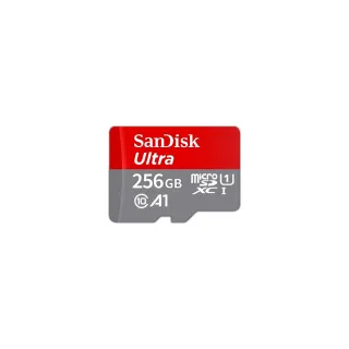【SanDisk 晟碟】Ultra microSDXC 256G記憶卡(for監視器組合用)