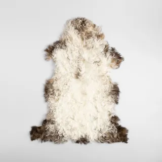 【HOLA】自然單張羊毛皮40x70 混色
