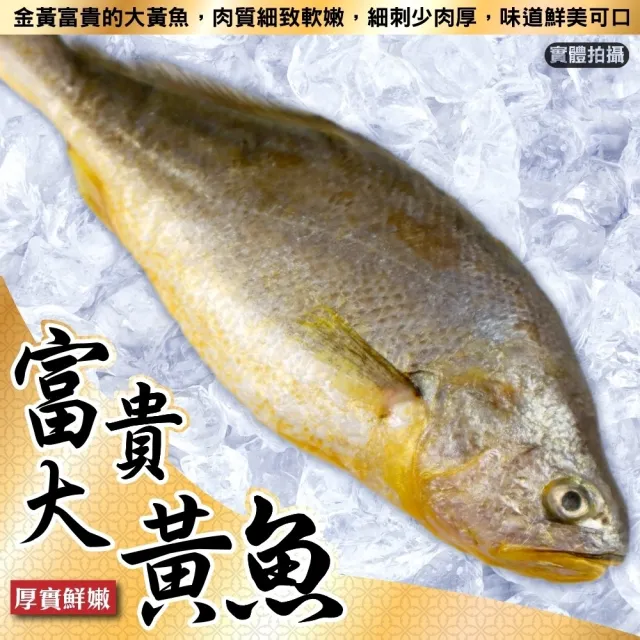 【三頓飯】野生整尾黃魚(3尾_250g/尾)