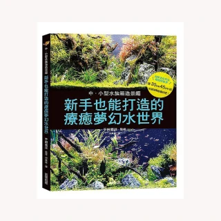 中小型水族箱造景趣：新手也能打造的療癒夢幻水世界