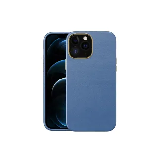 【Didoshop】iPhone 13 Pro Max 6.7吋 電鍍金邊磨砂手機殼(SX094)
