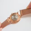 【Nordgreen】Unika優雅獨特 鈦鋼米蘭錶帶腕錶28mm(UN28RGMEROPM)