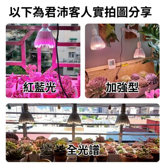 【JIUNPEY 君沛】40W 加強型光譜E27植物燈泡(植物生長燈)