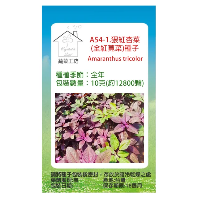 【蔬菜工坊】A54-1.狠紅杏菜種子(全紅莧菜)