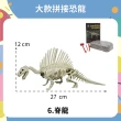 【OhBabyLaugh】恐龍化石 - 大款拼接恐龍 9款任選(模型玩具/恐龍模型/挖掘考古DIY玩具/侏儸紀公園)