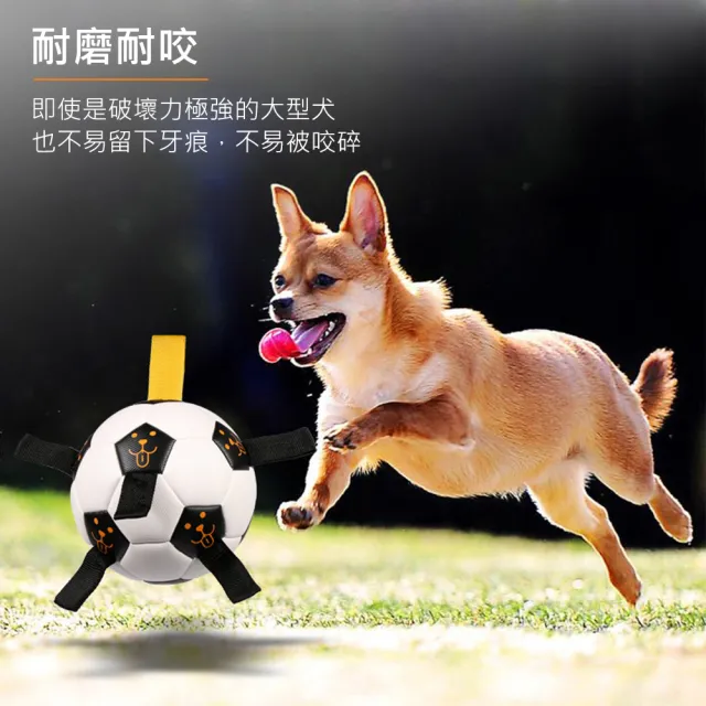 【AFAMIC 艾法】戶外體能互動繩子訓練寵物耐咬磨牙解悶球(原廠正貨 彈力球 足球 貓狗 運動 玩具)