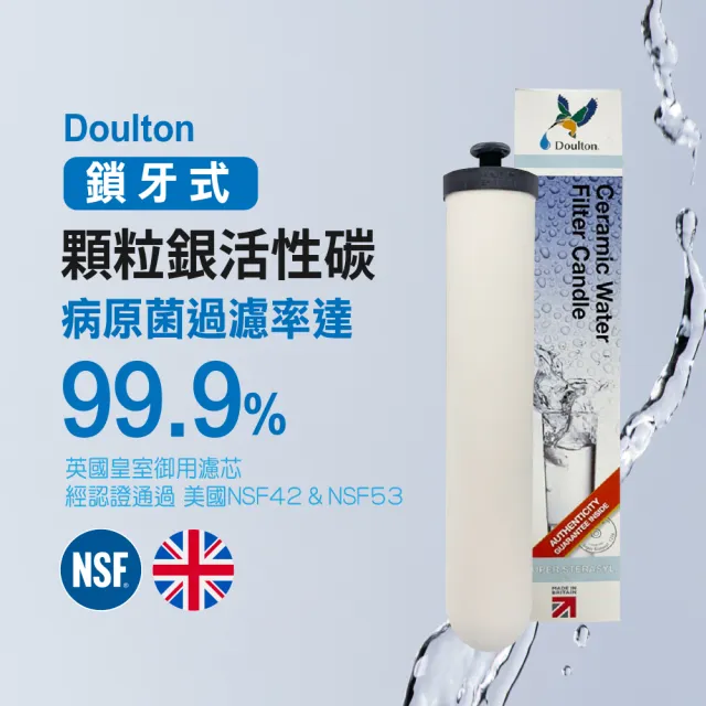 【麗水生活】Doulton陶瓷濾芯組-可適用金字塔 STERASYL 9304丹頓濾心搭配鎖牙濾心 通規非原廠(濾芯)