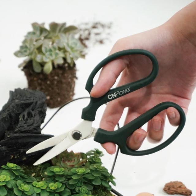 【CNFlower 西恩】坂源SAKAGEN 花藝剪刀 2色(園藝/園藝工具)