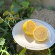 【FruitGo 馥果】美國黃檸檬120g±10%x140-165顆/箱(原裝箱18kg±10%)