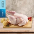 【氣冷雞】雞吉養生年節體驗組 2箱入(全雞 大1200g、小890g/箱)