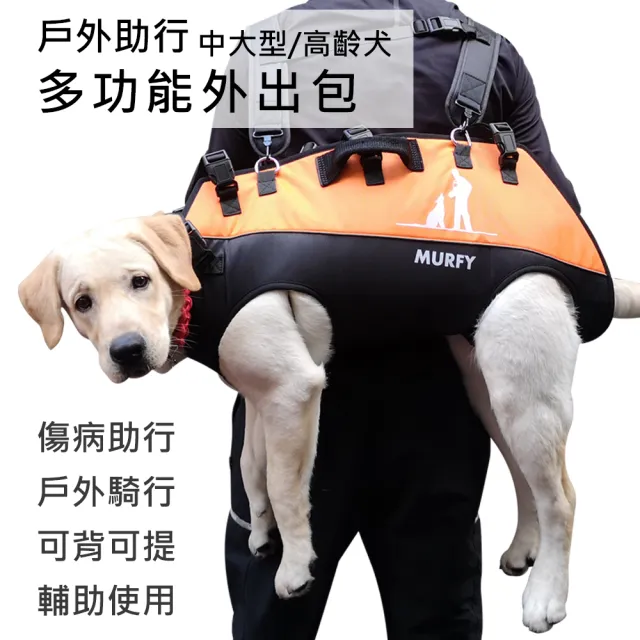 【AFAMIC 艾法原廠正貨】中大型犬高齡犬戶外助行寵物背包雙肩背帶多功能空降包/外出包(殘疾大狗 復健)