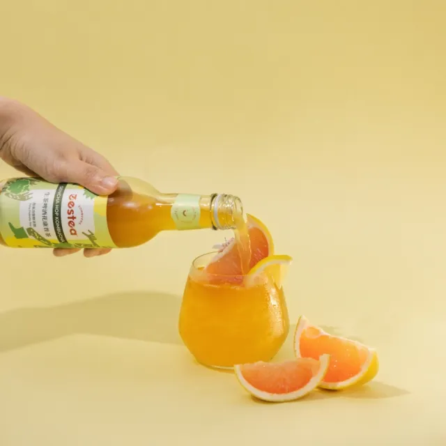 【Zestea Kombucha】生茶啤酒花康普茶 300ML*12瓶(無添加、富含益生菌)