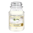 【YANKEE CANDLE】香氛蠟燭623g 多款可選(國際航空版)