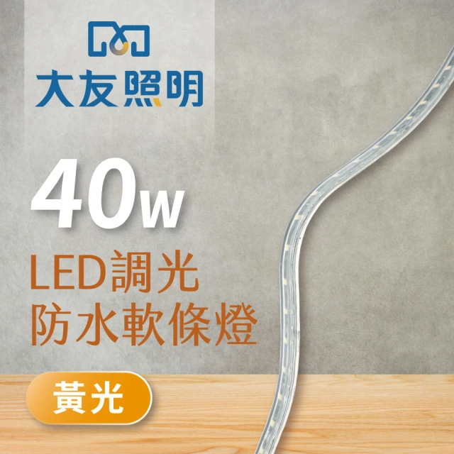 【大友照明】LED 調光防水軟條燈40W(5M 軟條燈)