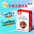 【辰鑫生技】專利牛樟芝薑黃素 素食膠囊 1入組共30顆(牛樟芝;薑黃素;五味子)