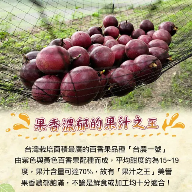 【享吃鮮果】鮮採台農一號百香果2箱(1.8kg±1.5%/箱)