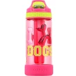 【Cool Gear 酷樂】兒童酷炫水壺460ml｜附冷凝棒（本款有2種版本彩盒）(美國Tritan材質)