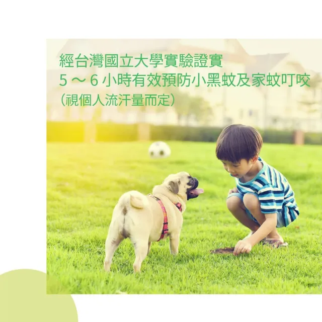 【叮寧】小黑蚊超長效防蚊液 90mlx2入組