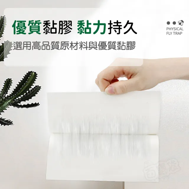 【指選好物】黏蠅紙 10入組(引誘率高 不限場所)