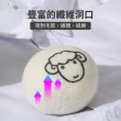 【披著羊毛的球】新西蘭羊毛除靜電吸水烘衣球-6入附收納袋(除濕 快乾 乾衣球 防纏繞 防打結 防靜電 去異味)