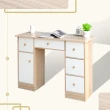 【生活藏室】五抽帶櫃收納書桌/工作桌100cm寬(工作桌 電腦桌 書桌 辦公桌)