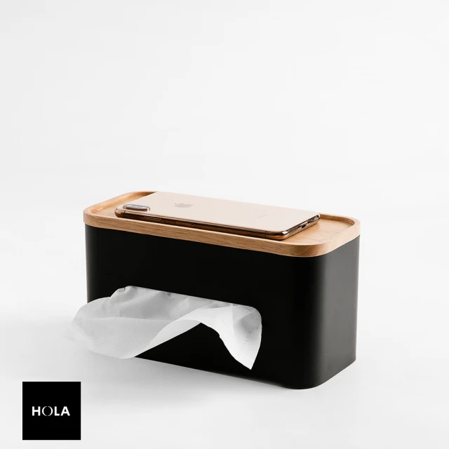 【HOLA】Ink 鐵線收納衛生紙盒